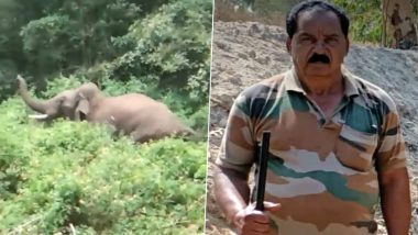 Elephant Attack in Karnataka Video: Injured Wild Elephant Attacks Forest Crew Trying to Administer Treatment, Expert Tranquiliser Aane Venkatesh Killed