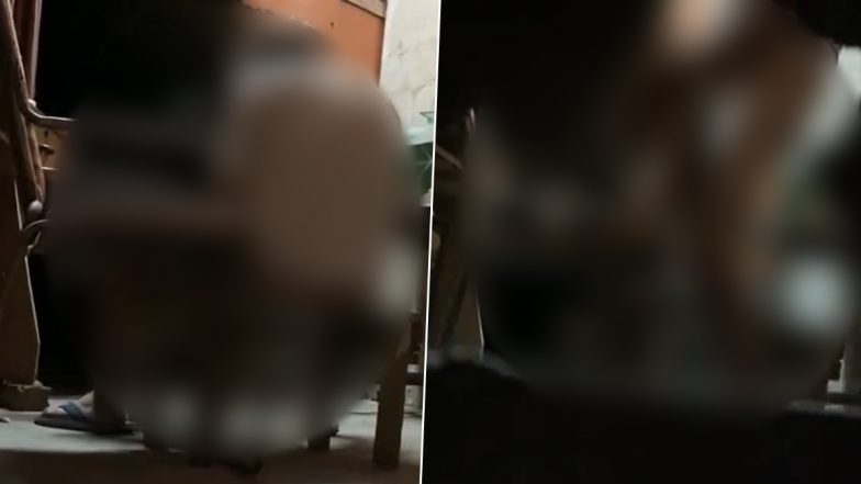 Dog Raped in Delhi: Man Caught on Camera Having Sex With Female Dog, FIR Registered After Disturbing Video of Bestiality Surfaces