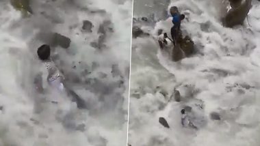Uttarakhand: Pilgrim Falls Into Mandakani River While Taking Selfie, Rescued by SDRF Officials (Watch Video)