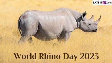 Happy World Rhino Day 2023! Five Rhino Sanctuaries in the World Actively Involved in Conservation of the Endangered Animal