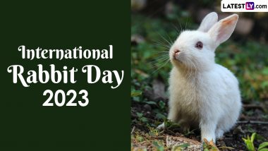 International Rabbit Day 2023 Date, History and Significance: All You Need To Know About the Day That Celebrates the Fun and Fluffy Animal