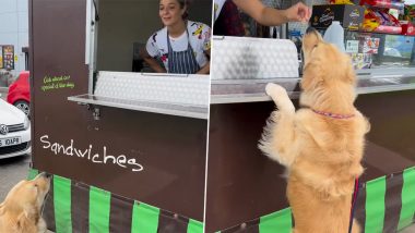 Cute Dog Orders Sausages From Street Eatery By Barking, Wholesome Video Goes Viral