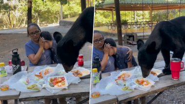 Brave Mother Protects Son as Bear Gatecrashes Family Picnic in Mexico, Video of Duo Sitting Calmly as Wild Animal Devours Their Food Goes Viral