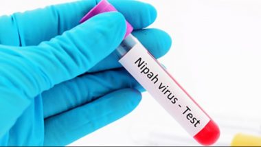 Nipah Virus Outbreak in Kerala: UK Health Leaders Closely Monitoring NiV Virus Scare in India, Says Report