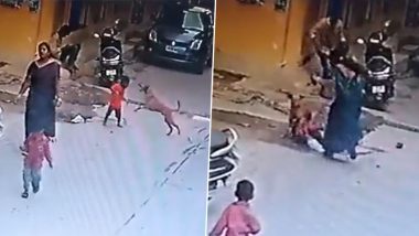 Dog Attack in Hyderabad Video: Stray Dog Pounces on Child in Tappachabutra, Terrifying Incident Caught on CCTV