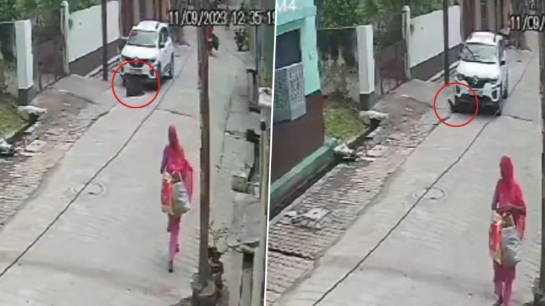 Cow Dragged in UP Video: Driver Runs Over, Drags Cow For Distance Under His Car in Ghaziabad