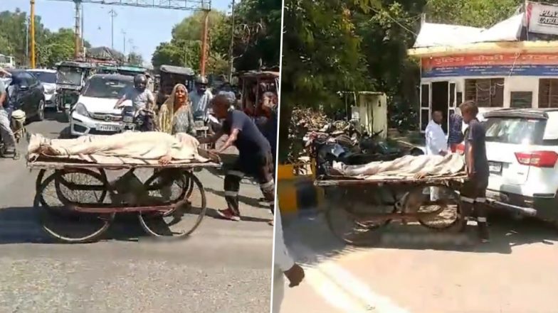 Uttar Pradesh: Mother Carries Son's Body on Handcart in Meerut, Appeals For Funeral Funds; Heart-Wrenching Video Goes Viral