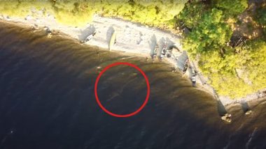 Loch Ness Monster Spotted? Drone 'Captures' Scotland's Mythical Creature Swimming in Lake, Old Video Goes Viral