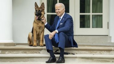 US: Secret Service Agent Bitten by President Joe Biden's Dog at White House, Officer Receives Medical Care