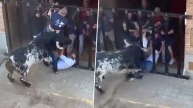 Spain: Man Gored to Death by Bull During Spanish Bull Running Festival in Pobla de Farnals, Terrifying Video Surfaces