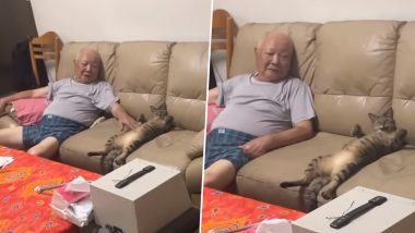 Man Finds His Grandfather and His Cat Sitting On the Couch in the Exact Same Position, Hilarious Video Go Viral