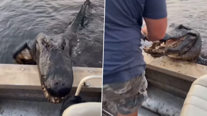 Family Laughs While Man Snubs Massive Alligator Trying to Enter Into Their Boat, Hilarious Video Goes Viral