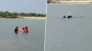 Gujarat Tragedy: Man, Nephew Drown in Aaji Dam During Ganesh Idol Immersion in Rajkot (Watch Video)