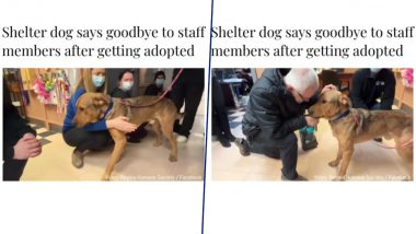 Shelter Dog Expresses Heartfelt Goodbye to Staff Members After Getting Adopted, Heartwarming Video Goes Viral