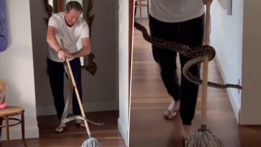 Glenn McGrath Catches Three Pythons At Home, Shares Video of the Courageous Act (View Post)