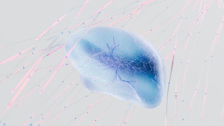 Scientists Recreate Neurons That Allow Mice to Walk Again After Injury