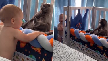 Cat Freezes Itself to Avoid Toddler's Attention, Hilarious Video of the Feline Goes Viral