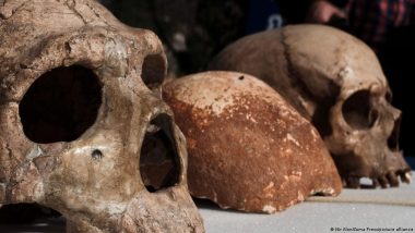 Why You Owe Your Life to a Handful of Early Humans