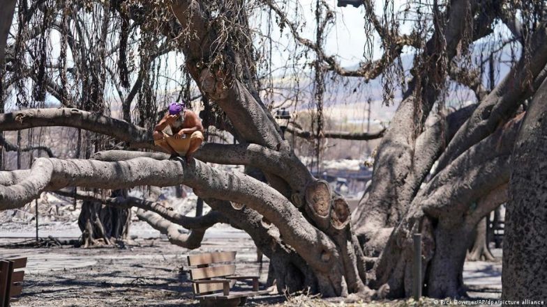Forensics: Identifying the Dead After Flood or Flames