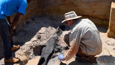 World's Oldest Wooden Structure Found in Zambia