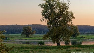 Germany Violated Nature Conservation Law, Rules EU Top Court