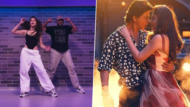 Alaya F's Dance to Shah Rukh Khan's Superhit Track 'Chaleya' From Jawan Is Sexy! (Watch Video)