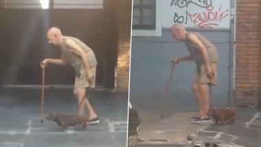 Patient Dog Walks Slowly to Match Elderly Man's Pace, Heartwarming Video Goes Viral