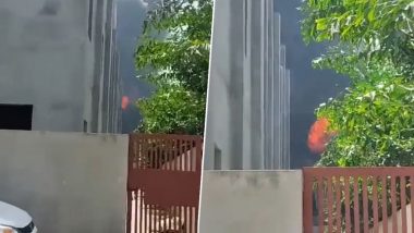 Punjab Fire: Blaze Erupts at Paint Factory in Mohali, Five Labourers Injured (Watch Video)