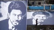 Giant 30-ft Shah Rukh Khan Portrait Made by Artist With Marble Stone Chips, Watch Viral Video As It Takes Over Internet