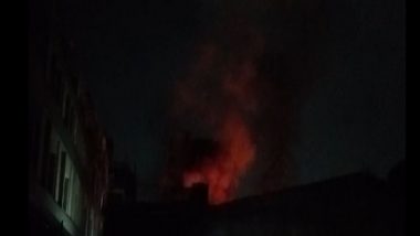 Noida Fire: Massive Blaze Erupts at Industrial Unit in Sector 3, No Casualty