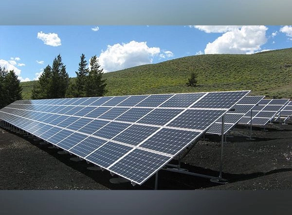 World News | India Among Five Major Global Economies in Race to Reach Net-zero