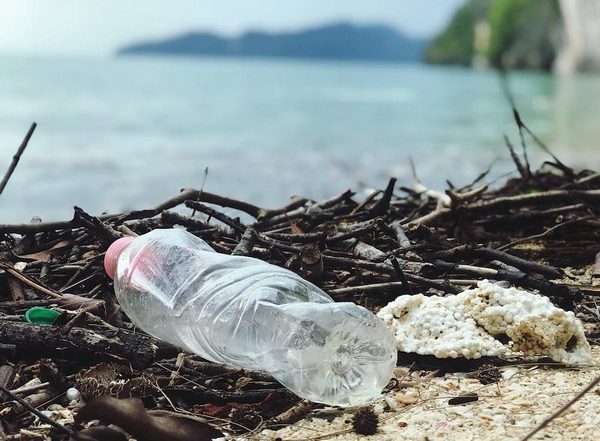 India News | After Floods, Plastic Garbage Becoming a Threat in Himachal Pradesh