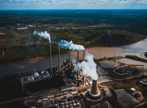 Science News | Beaver Activity Boosts Methane Greenhouse Gas Emissions: Study