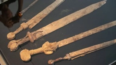 World News | 1,900 Year-old Roman-era Swords from the Jewish Revolt Unveiled