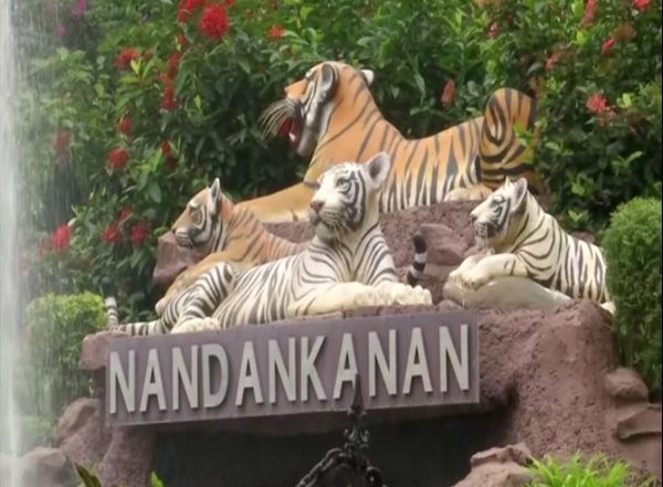 India News | Odisha’s Nandankanan Welcomes New Guests from Aizwal Zoo