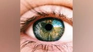 Health News | Older Persons May Not Be Aware That They Have Glaucoma: Study