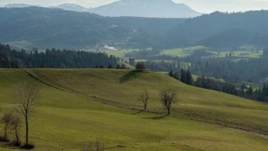 Science News | Study Highlights Significance of Grasses in Preventing Climate Change