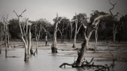 Science News | New Super-fast Flood Model Has Potential to Save Lives: Study