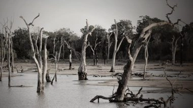 Science News | New Super-fast Flood Model Has Potential to Save Lives: Study