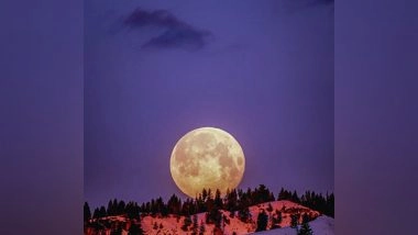 Science News | Earth's Electrons May Be Forming Water on Moon: Study