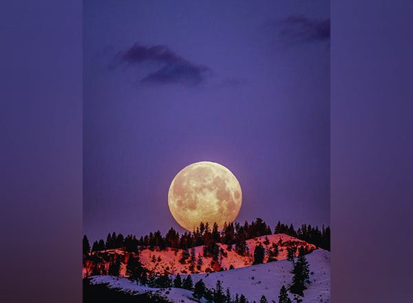 Science News | Earth's Electrons May Be Forming Water on Moon: Study