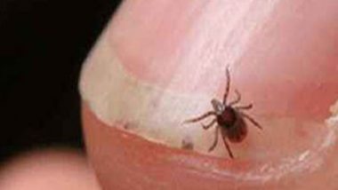 India News | Odisha Govt on Alert Mode After Scrub Typhus Kills 5 People