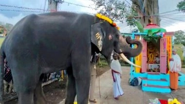 India News | Theppakadu Camp Elephants Take Part in Ganesh Chaturthi Celebrations