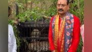 India News | Andhra: Sixth Leopard Captured Near Tirumala Temple