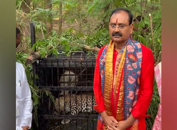 India News | Andhra: Sixth Leopard Captured Near Tirumala Temple