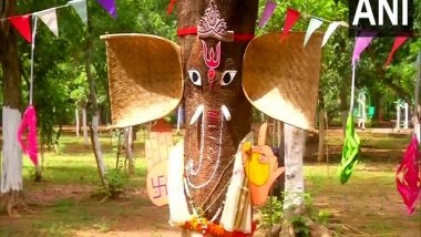 India News | Odisha: Tree Worshipped as Ganpati in Bhubaneshwar