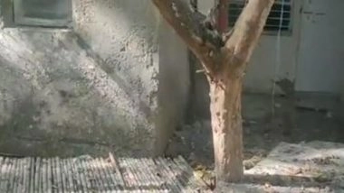 India News | Man Arrested for Killing Survey of India Colleague, Burying Body in Delhi’s RK Puram