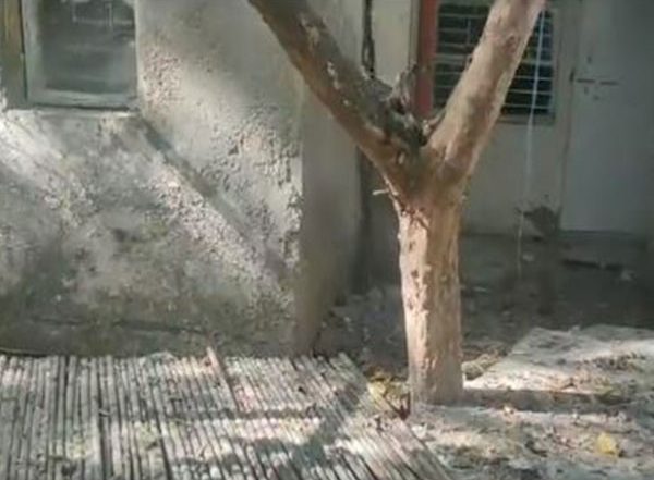 India News | Man Arrested for Killing Survey of India Colleague, Burying Body in Delhi’s RK Puram