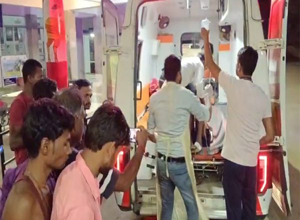 India News | MP: Elderly Villager Attacked by Tiger in Umaria Dies