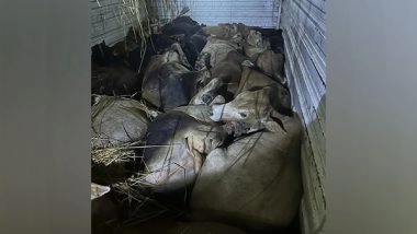 India News | Assam Police Foil Smuggling Bid, Rescue 24 Cattle Heads